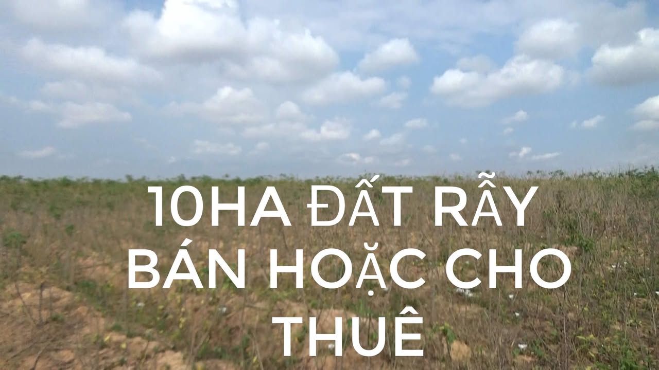 Bán 10ha Đất Rẫy Ea Súp, Đắk Lắk - Giá Tốt, Thích Hợp Trồng Trọt