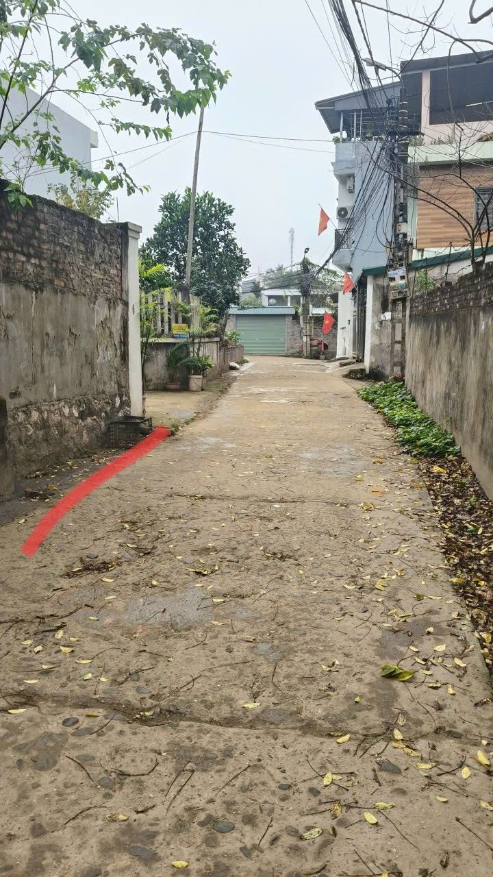 Đất nền Việt Phượng Định Hóa 100m² - Đường to ô tô