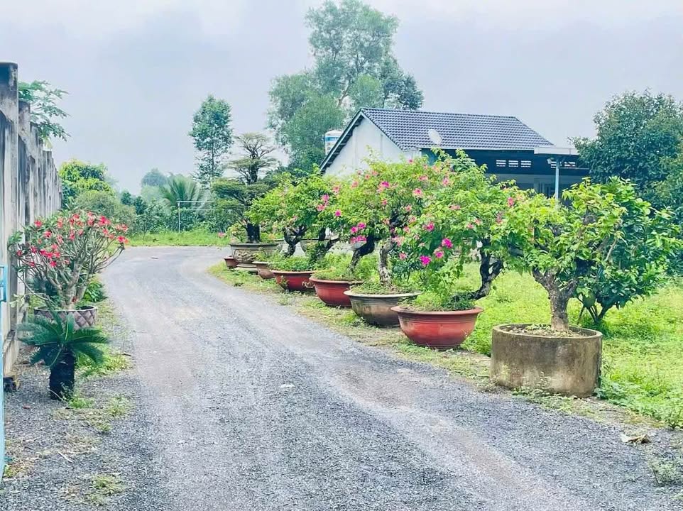 Bán đất Vĩnh Cửu 600m² view sông Đồng Nai - Sổ đỏ sẵn sàng