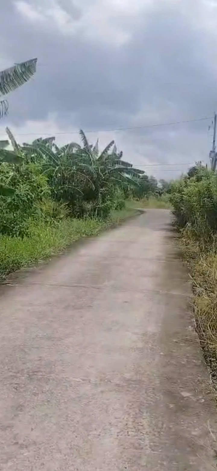 Đất Vĩnh Công, Tây Ninh 1500m² - Sổ Đỏ Thổ Cư, Tiềm Năng Phân Lô