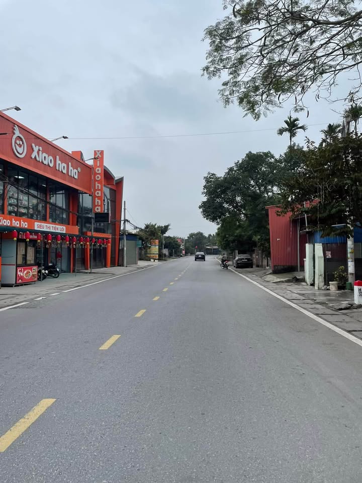 Nhà Phố 100m² Mặt Đường 208, An Dương - Mặt Tiền Kinh Doanh Sầm Uất!