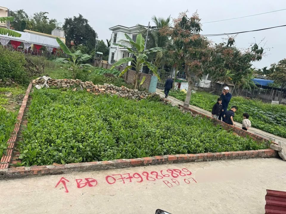 Đất Lô Góc 50m² Quốc Tuấn, Kiến Thụy - Ngõ Ô Tô, Giá 7xx Triệu