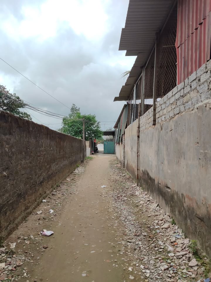 Đất nền Quảng Tiến Sầm Sơn 90m² - Tiềm năng tăng giá vượt trội!