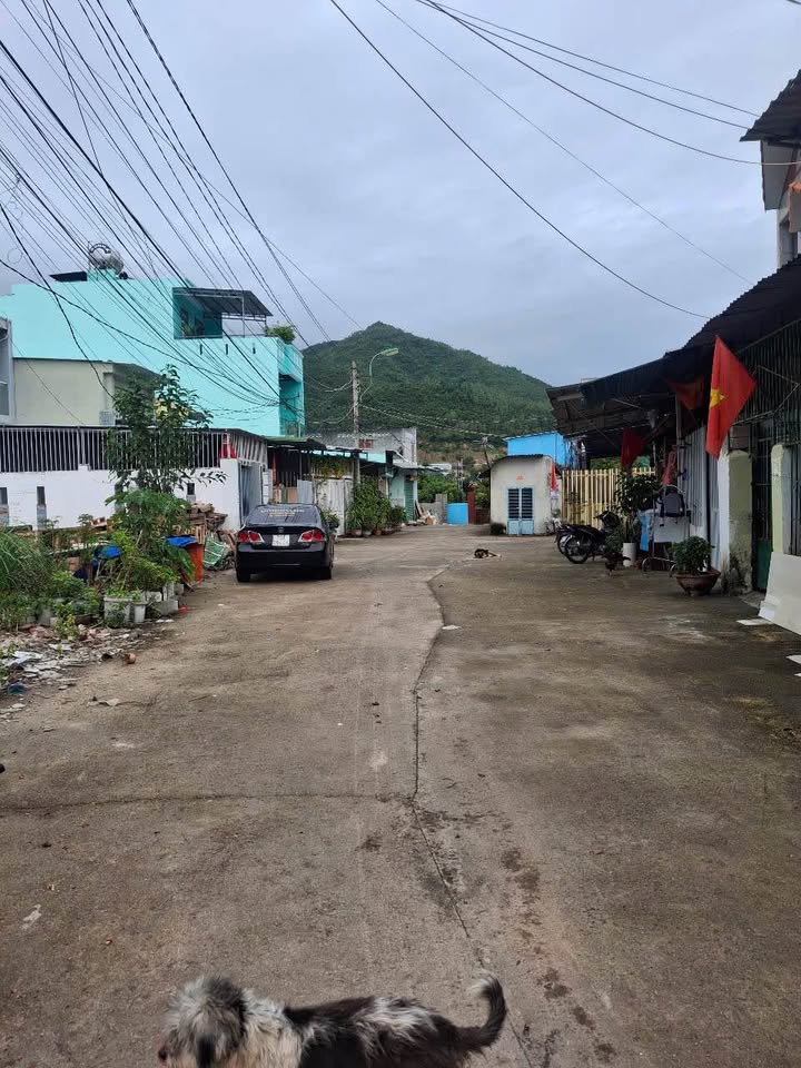 Bán Đất Vàng Phước Đồng Nha Trang 1035m² - Ngay Chợ, Mặt Tiền Rộng 11m