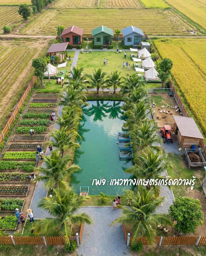 Đất Lúa Diên Toàn, Diên Khánh 2288m² - Đường to ô tô, sổ đỏ chính chủ!