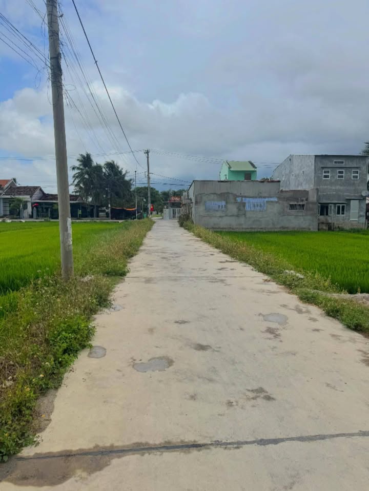 Đất nền Mỹ Lệ Ninh Hòa 733m² - Tiềm năng tăng giá từ 3 tỷ!