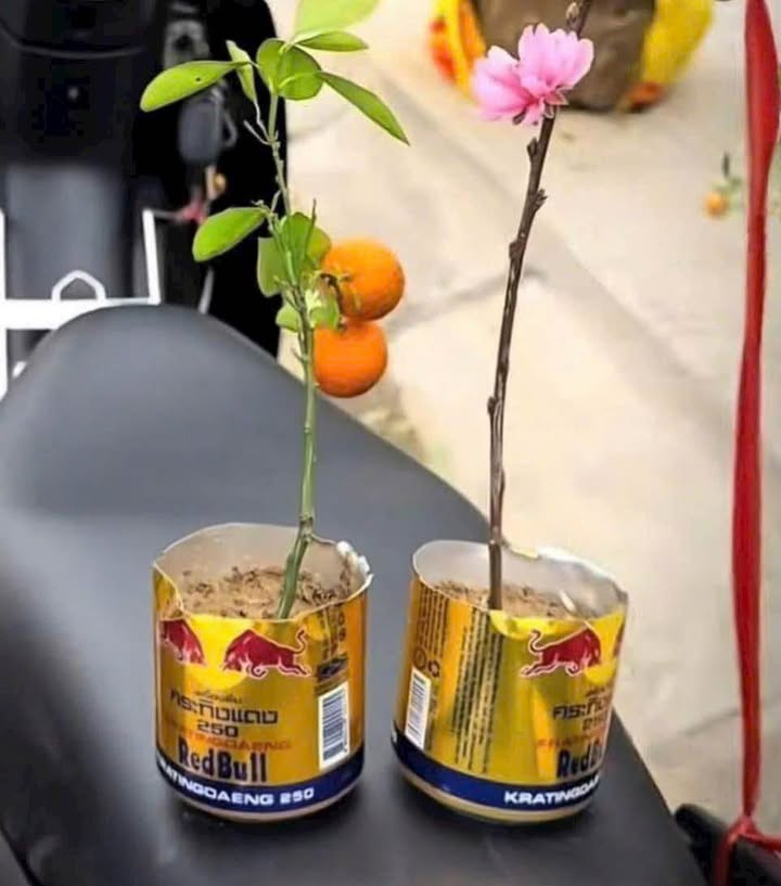 Nhà Phố Phương Lưu 80m² - Mặt tiền kinh doanh đắc địa!