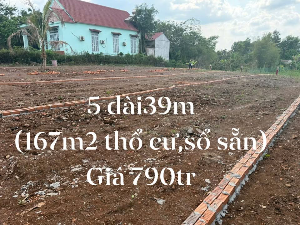 Đất Nền 790 Triệu Đồng Nai - Gần Trường Cấp 3 Xuân Thọ