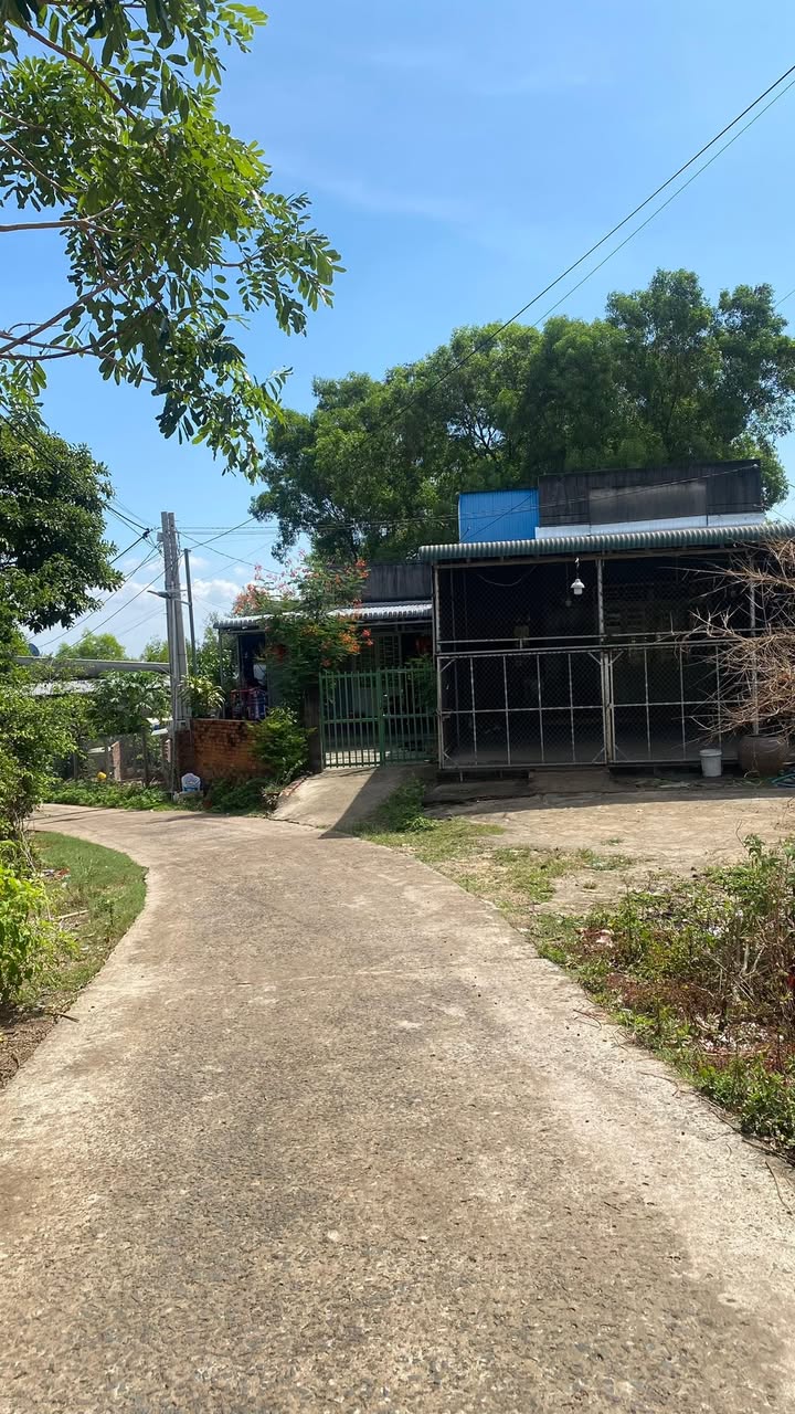 Đất Thổ Cư View Núi Gia Lào 192m² Sổ Đỏ Sẵn - Giá Hơn 500 Triệu