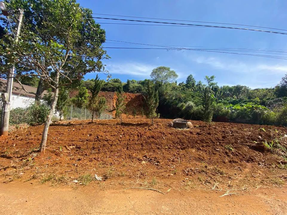 Đất nền Trần Tế Xương Đà Lạt 900m² - Tiềm năng tăng giá vượt trội!