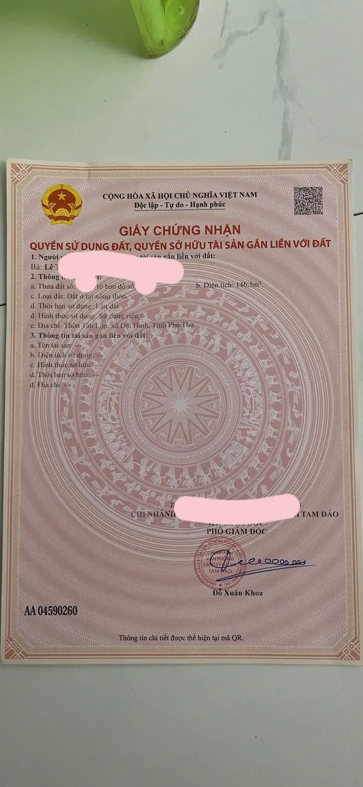 Đất nền Đại Đình, Tam Đảo 139.7m² - Sổ đỏ chính chủ, tiềm năng tăng giá!