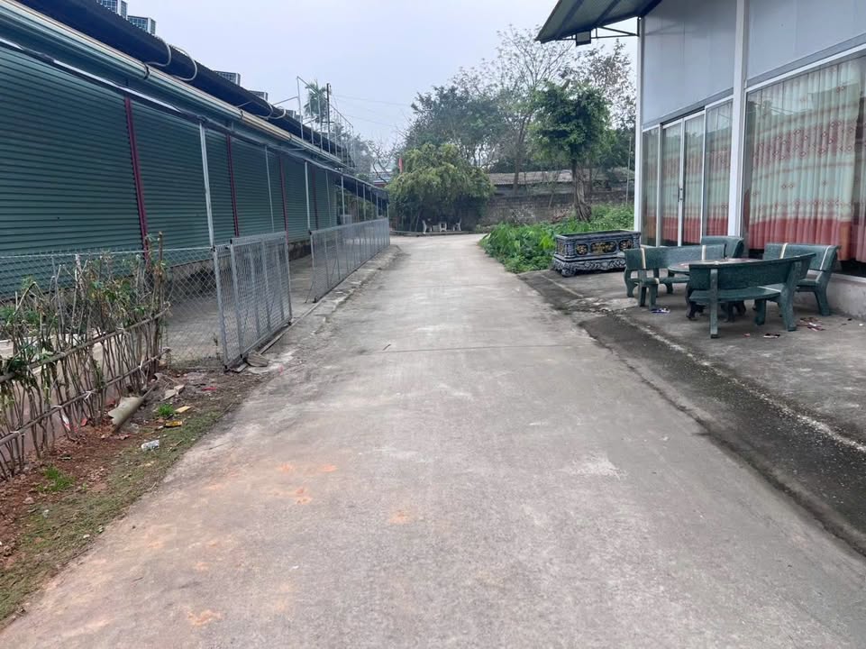 Đất Sông Lô Vĩnh Phúc 95.5m² Full Thổ Cư - Ngay Mặt Tiền ĐT 307