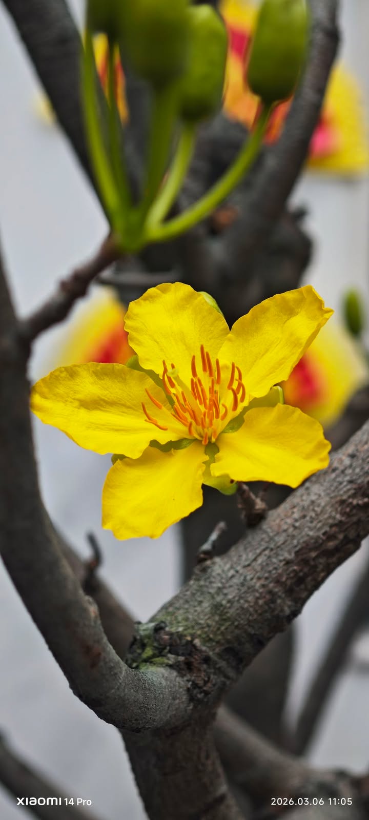 Đất nền Ô Môn Cần Thơ 116m² - Sổ đỏ chính chủ!