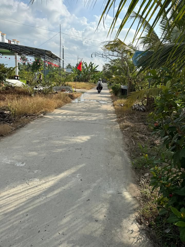 Bán Đất Nền 280m² Phước Long, Bạc Liêu - Giá Chỉ 420 Triệu