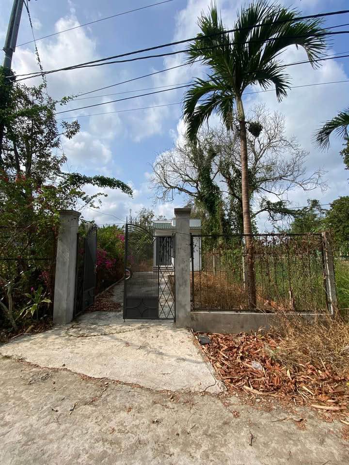 Đất Vườn Nghỉ Dưỡng Cần Thơ - 504m2 Có Nhà Cấp 4, Vườn Ao - Giá 2.5 Tỷ