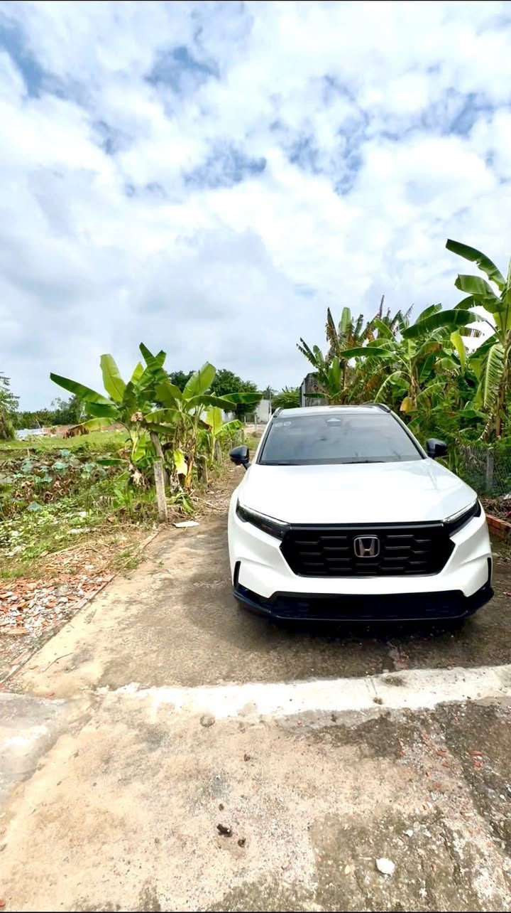 Đất nền Thới Hòa, Trà Ôn 110m² - Tiềm năng tăng giá vượt trội!