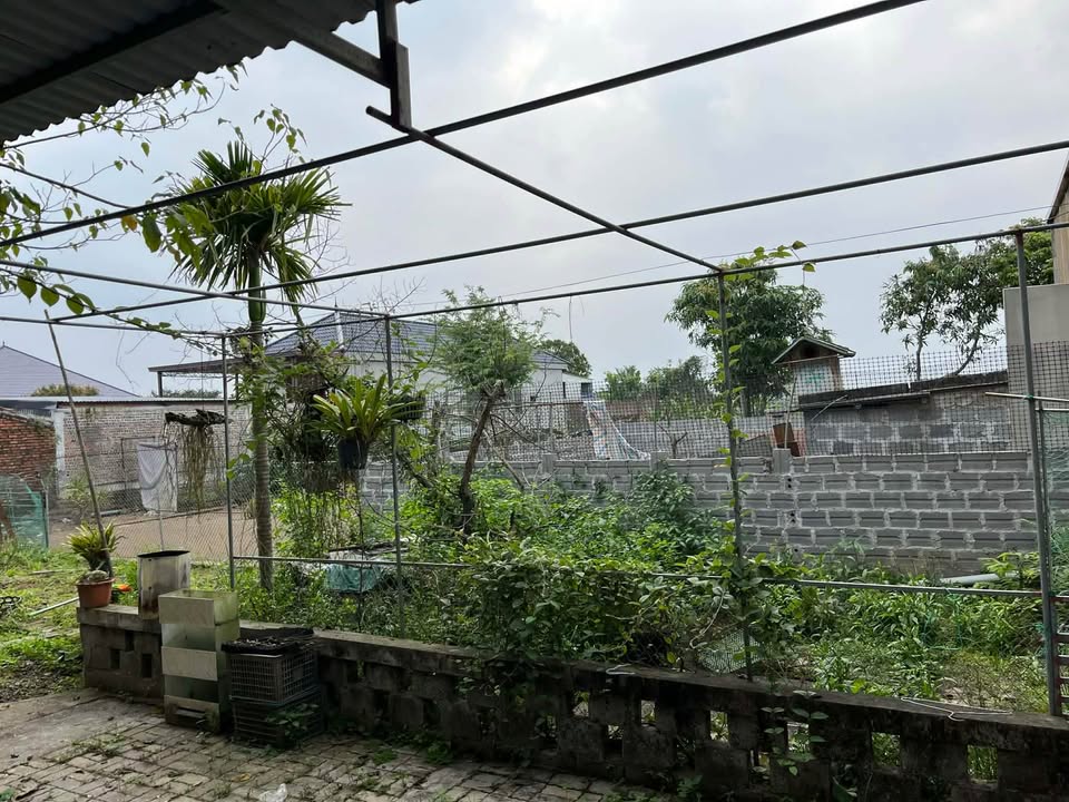 Nhà phố Thái Bình 81.9m² - Mặt tiền kinh doanh đắc địa!