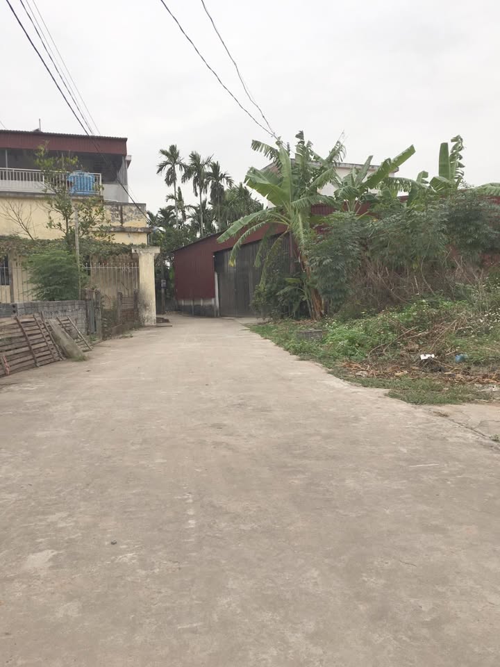 Đất Lô Góc 61m² Kinh Doanh Tốt Tại Thái Bình - Giá 8xx Triệu