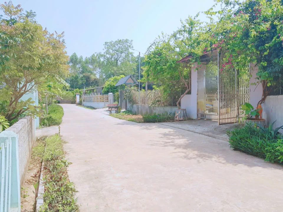 Đất nền Tân Thanh Lạng Giang 170m² - Đường to ô tô, giá chỉ 700 triệu!