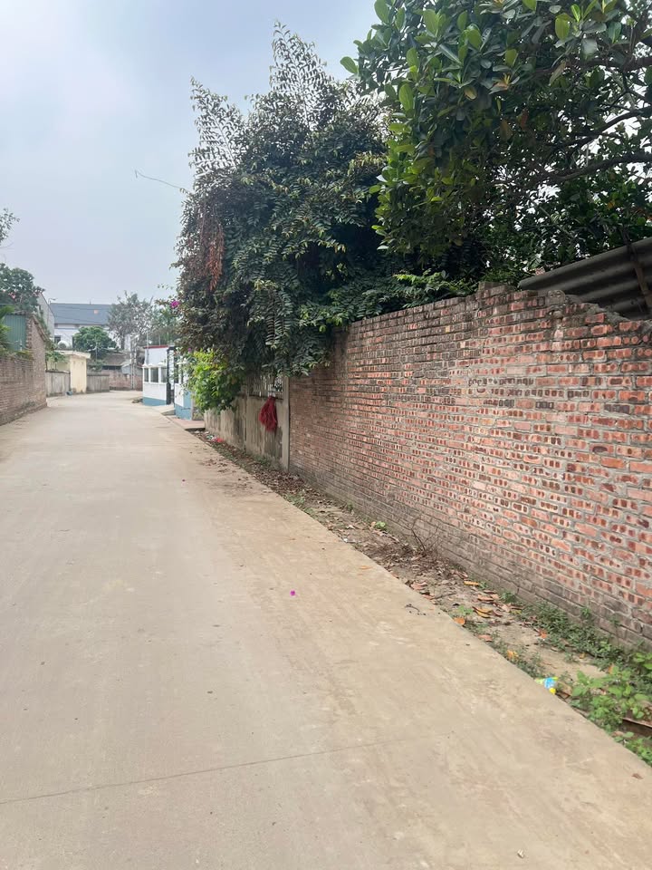 Đất nền Hương Lâm, Hiệp Hòa 100m² - Đất thổ cư, tiềm năng tăng giá!