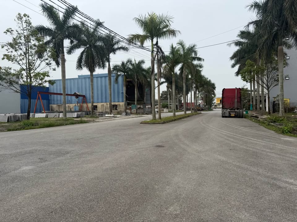 Đất nền xã Lưu Vệ 210m² - Sổ đỏ chính chủ, đường đôi