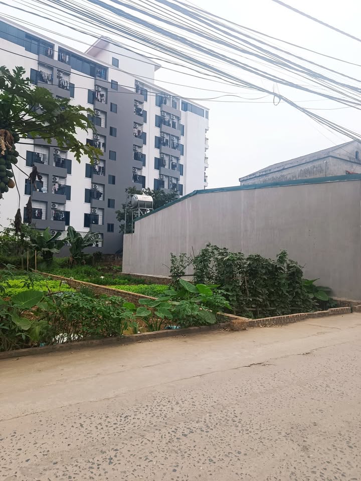 Đất nền Hoà Lạc 100m² - Sổ đỏ chính chủ, xây dựng tự do!