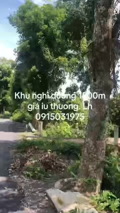 Đất vườn 1500m² Châu Đốc - Khu nghỉ dưỡng lý tưởng, sổ đỏ chính chủ!