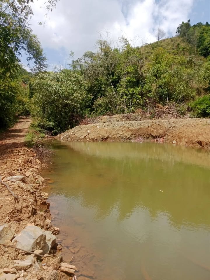 Bán Gấp 1800m² Đất Cà Phê Đăk Nuê, Lăk - Sẵn Nước Tưới, Giá Đầu Tư 120 Triệu