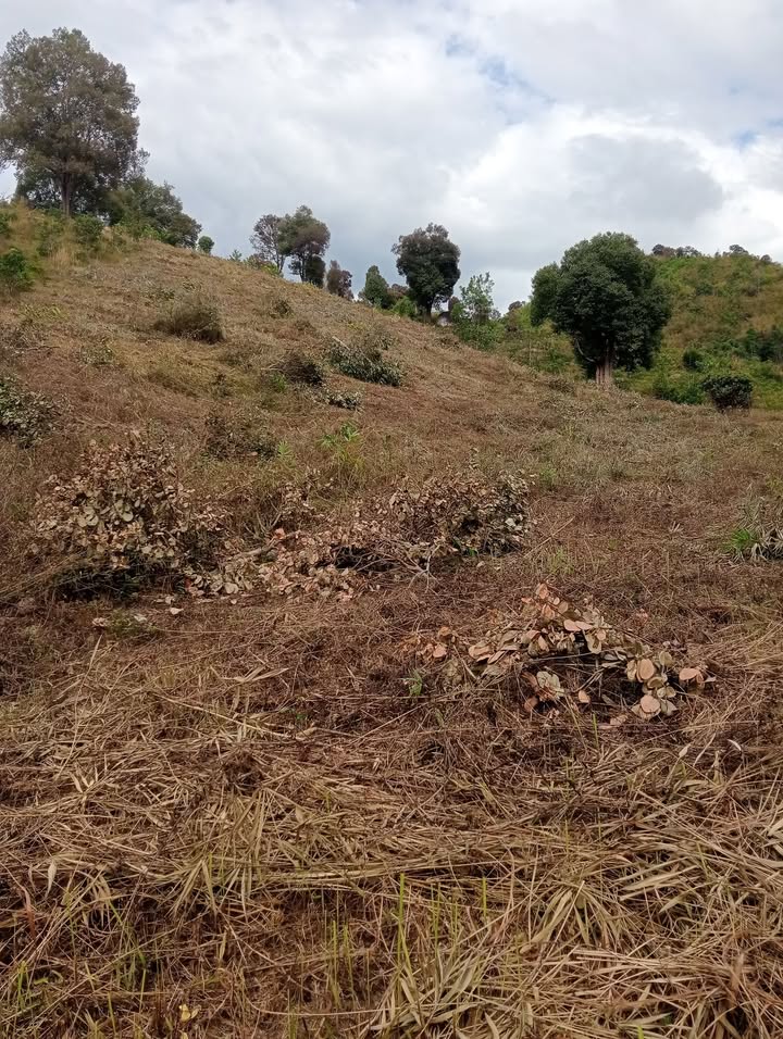 Đất nền Đạ Nhinh, Đam Rông 7ha giá 210 triệu - Tiềm năng tăng giá!