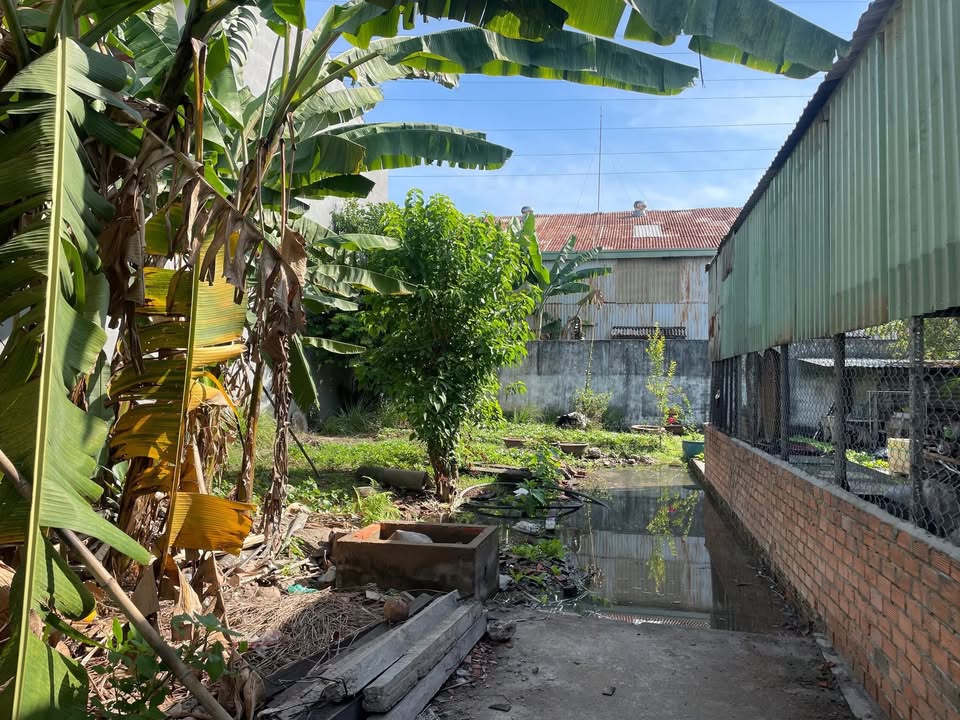 Nhà Phường Trường Thọ Thủ Đức 184m² - Hẻm Xe Tải Giá 9.5 Tỷ