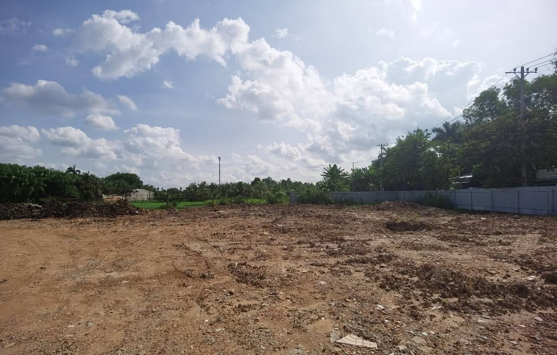 Đất Nông Nghiệp Nhị Bình, Hóc Môn 10,000m² - Cơ Hội Đầu Tư Dài Hạn!