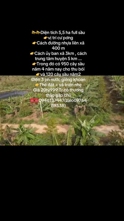 Đất Vườn Cư Pơng, Krông Búk 5.5ha - Đầu Tư Dài Hạn Sinh Lời Khủng!