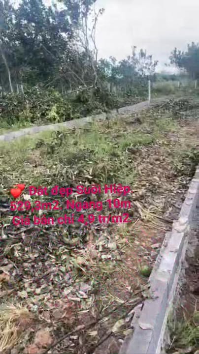 Đất nền Suối Hiệp, Diên Khánh 529m² - Sổ đỏ chính chủ, giá đầu tư tốt