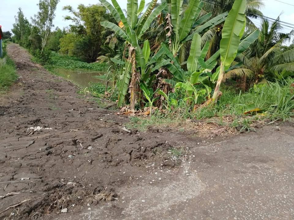 Bán 3.6ha Đất Vườn An Giang - Mặt Tiền Kênh Lớn, Giá Đầu Tư 36.17 Tỷ