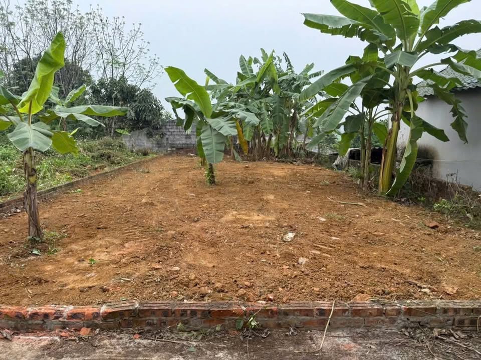 Đất nền Việt Yên 116m² giá 1.7 tỷ - Đất thổ cư 100%