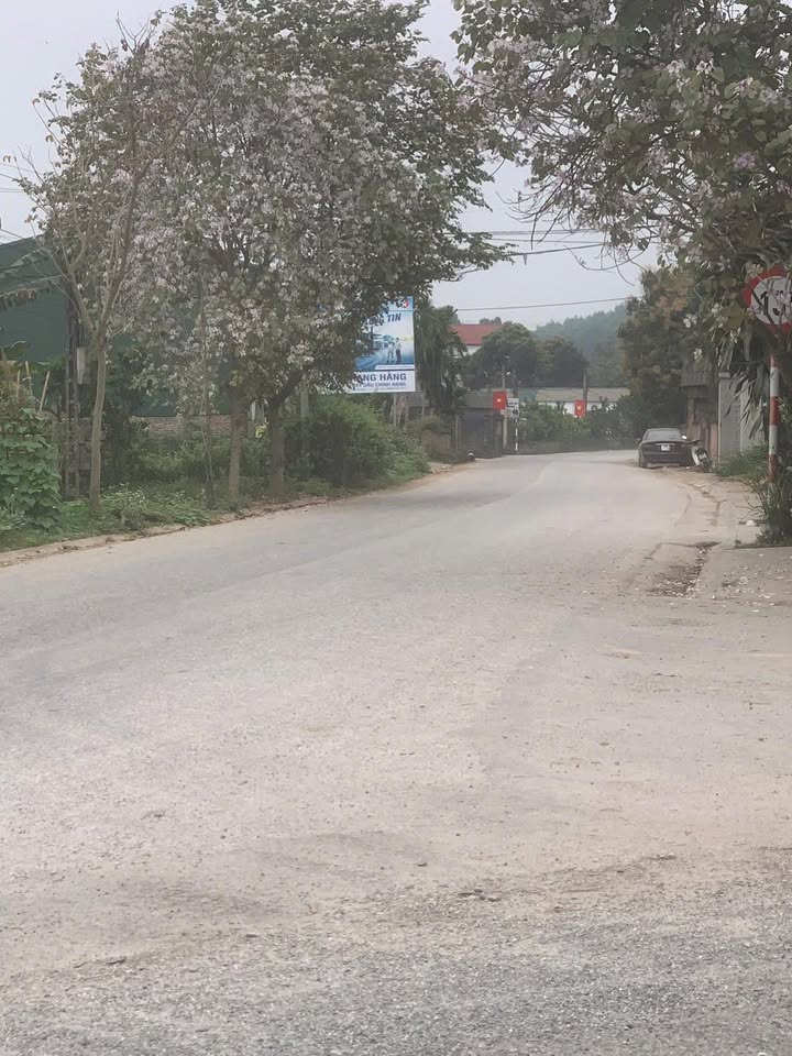 Đất nền Tuyên Quang 200m² - Tiềm năng tăng giá vượt trội!