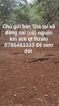 Đất nền Xã Đồng Nai Bù Đăng 5ha – Tiềm năng tăng giá vượt trội!