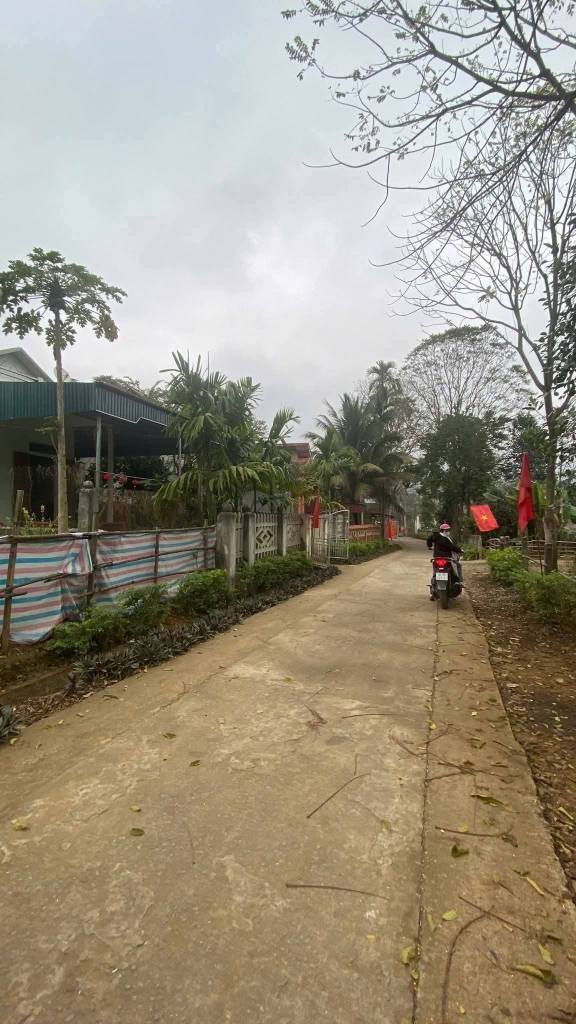 Bán Đất Minh Sơn Ngọc Lặc 175m² - Sổ Đỏ Sẵn, Giá Tốt