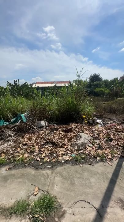 Đất Vườn 1500m² Hai Mặt Tiền Trảng Bom - Sổ Hồng Riêng