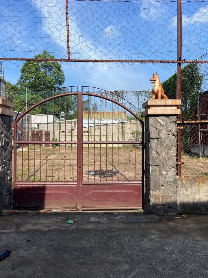 Đất nền 130m² Hố Nai, Biên Hòa - Pháp lý rõ ràng, đường ô tô