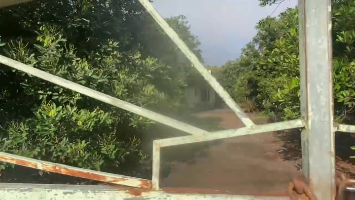 Đất Vườn 1916m² Lô Góc Xuân Lộc, Đồng Nai - Sổ Hồng Sẵn Sàng Đầu Tư