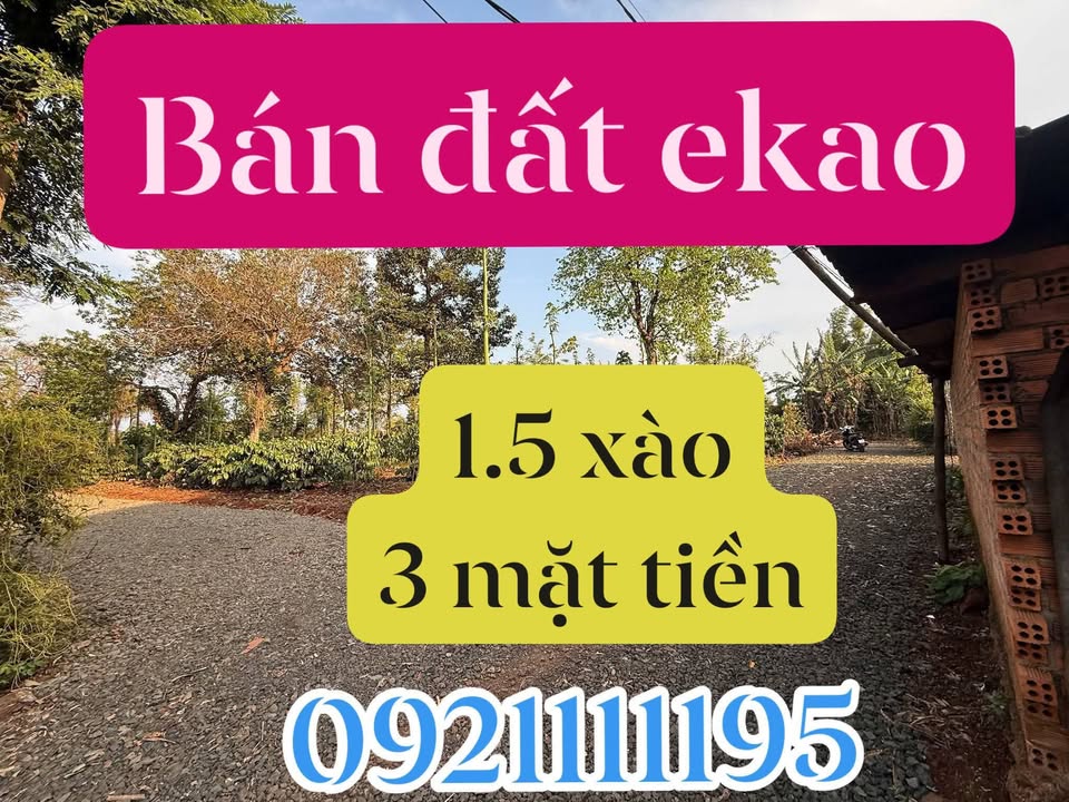 Đất Vườn Đắk Lắk 1800m² - Sổ Hồng Riêng, Gần Chợ Ea Kao