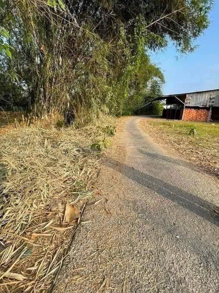 Bán Gấp Đất Nền 150m² Mặt Tiền Lộ Lân Thạnh 2, Cần Thơ - Giá 900 Triệu