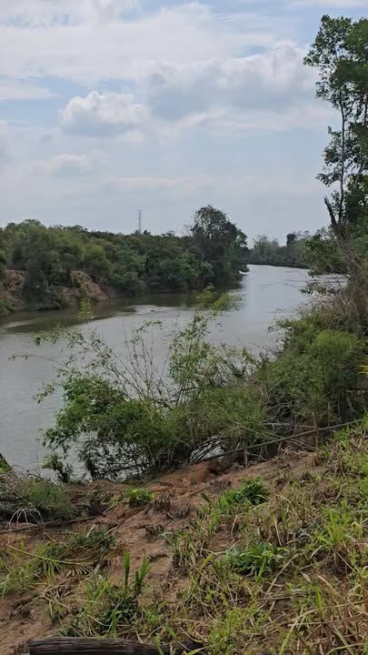 Đất vườn Xã Iarve Đắk Lắk 15000m² – Nghỉ dưỡng lý tưởng!