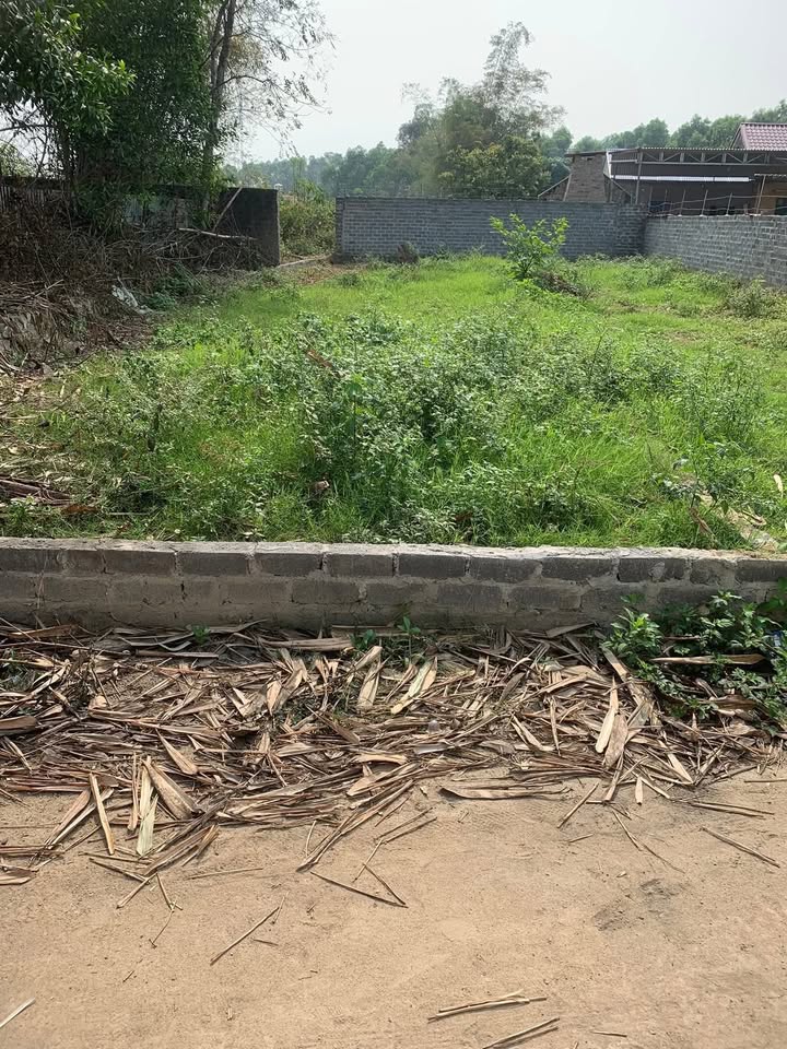 Đất nền TDP Núi Việt Tiến 145.2m² - Tiềm năng tăng giá vượt trội!