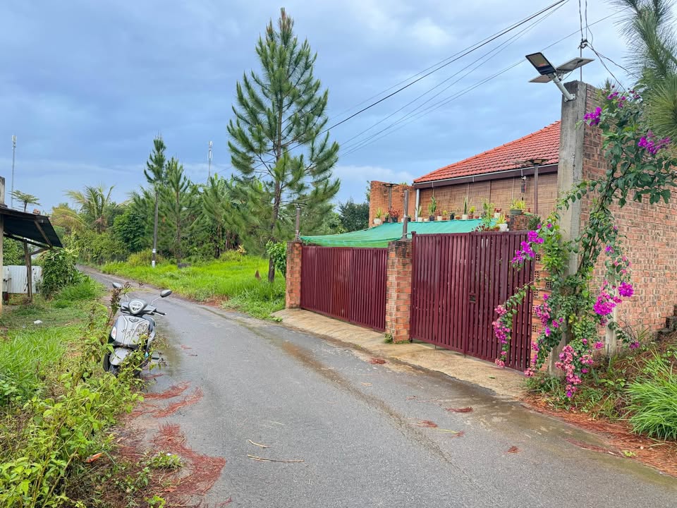 Bán Gấp Đất Nền Biệt Thự 290m² Lộc An, Bảo Lộc - Sổ Đỏ Thổ Cư 200m²