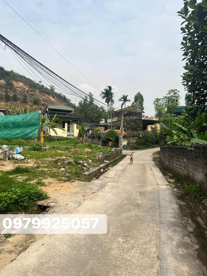 Bán Đất Nền 140m² Phường Thanh Sơn, Uông Bí - Sổ Đỏ Sẵn Sàng