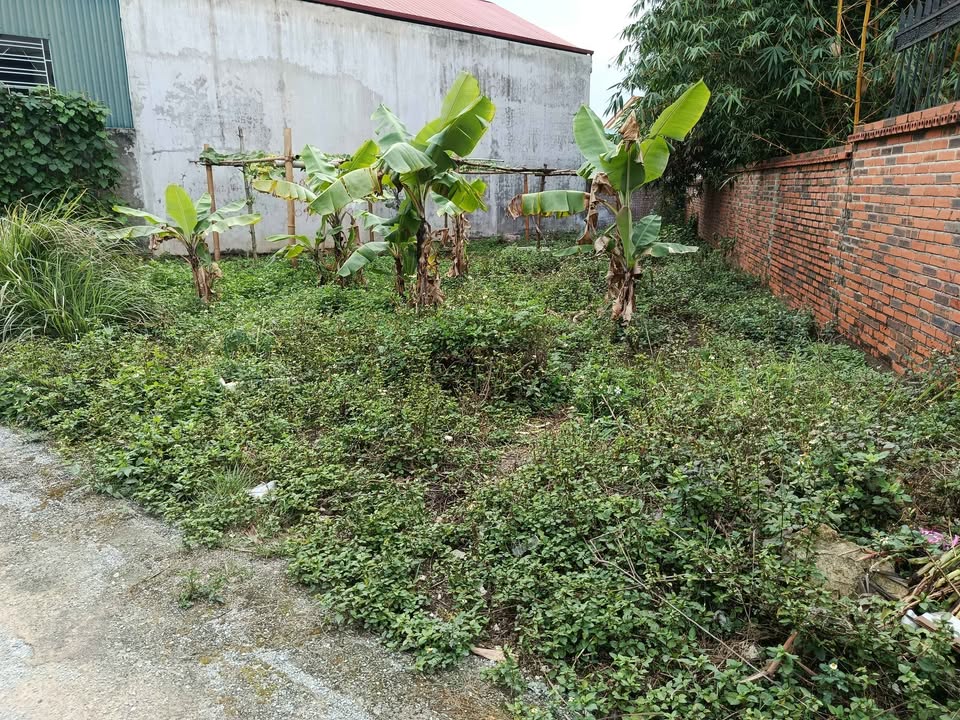 Bán đất Quảng Yên, Uông Bí 114m² - Gần trường học, UBND - Giá 1.65 tỷ