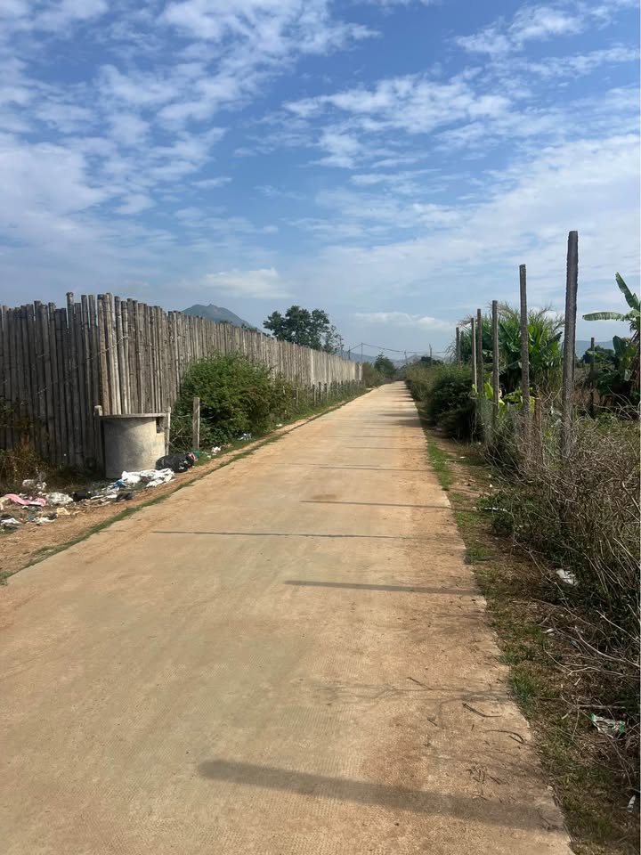 Cho thuê Đất Trồng Cà Phê 1100 Cây - Ngô Sơn, Pleiku - 60 Triệu/Năm