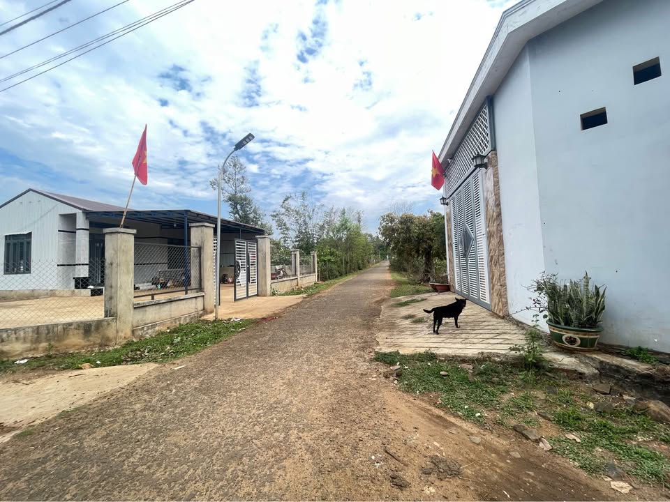 Bán Đất Biển Hồ Pleiku 220m² Thổ Cư - Sổ Đỏ Sẵn Sàng